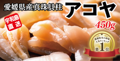 アコヤ貝（真珠貝）の貝柱 450g
